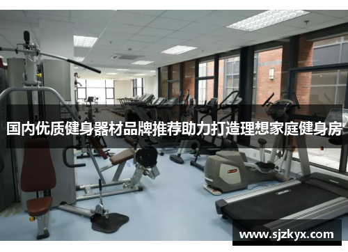 国内优质健身器材品牌推荐助力打造理想家庭健身房