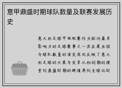 意甲鼎盛时期球队数量及联赛发展历史