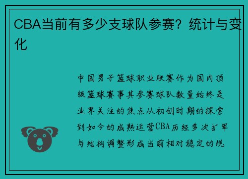 CBA当前有多少支球队参赛？统计与变化
