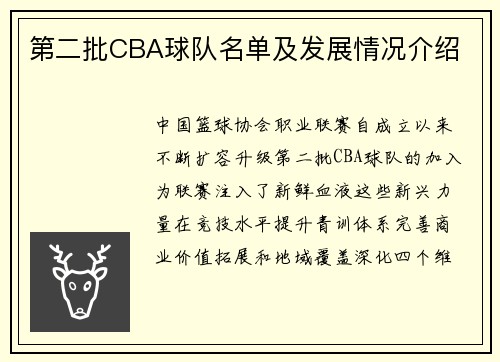 第二批CBA球队名单及发展情况介绍