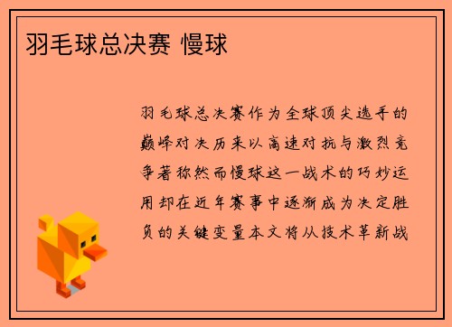 羽毛球总决赛 慢球